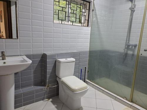 a bathroom with a toilet and a shower and a sink at PALM TERRACE HOMESTAY NYALI - On samaki lane in Mombasa