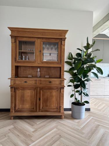 a wooden hutch in a room with a potted plant at HamakoweLove in Dąbrówka
