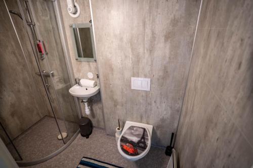 a bathroom with a shower and a sink and a toilet at Bnb Central Apartment Stavanger nicolas 4 in Stavanger
