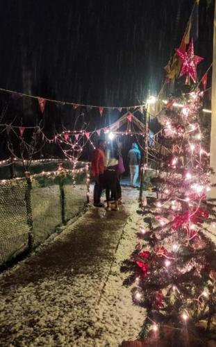 a row of christmas lights on a street at night at Farm Hostel & Camps in Manāli
