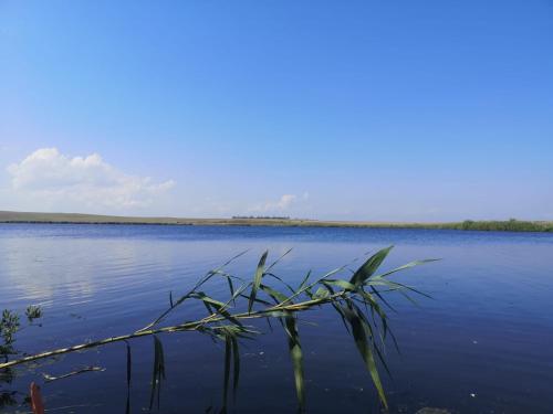 a view of a large body of water at Casa David in Dunăvăţul-de-Sus