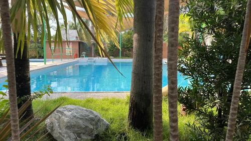 a swimming pool with a palm tree and a rock at Villa Leonida Resort in Bugallon