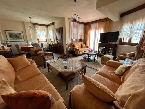 a living room with a couch and a table at Villa Maron - Platanitis Beach in Maronia