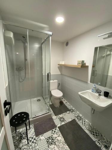 ein Bad mit einer Dusche, einem WC und einem Waschbecken in der Unterkunft Pod lípou in Liberec