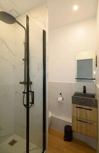 une salle de bain avec une douche avec un lavabo et un miroir dans l'établissement Fully equiped flat with air conditioning, à Paris