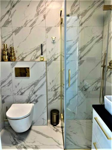 a bathroom with a toilet and a glass shower at Gold Apartament in Zamość