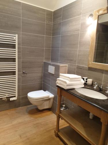 une salle de bain avec un lavabo, des toilettes et un miroir dans l'établissement Villa Bayeusaine, maison Bayeux Centre Historique - 3 chambres, à Bayeux