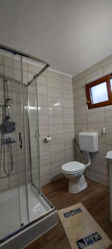 a bathroom with a toilet and a glass shower at Casuta de vacanta Miniș I in Miniş