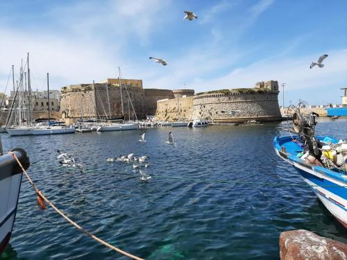 a group of birds in the water near boats at Ruggine Loft in Gallipoli