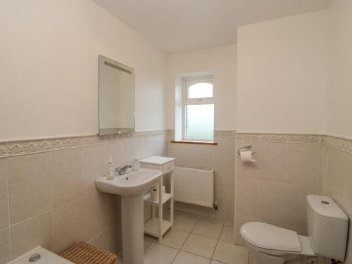 a bathroom with a sink and a toilet and a mirror at Coorlacka in Ballydivin