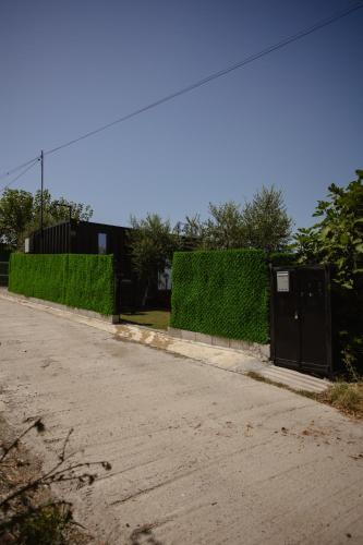 an empty road with a hedge and a gate at 446 Tiny House Shirokë in Široka