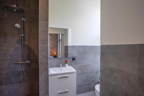 La salle de bains est pourvue d'une douche, d'un lavabo et de toilettes. dans l'établissement Appartement 't Groentje 9A Domburg DO43, à Domburg