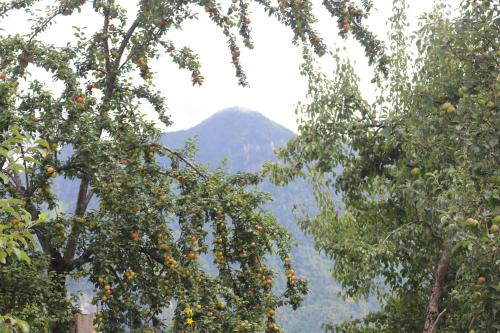 Un paisaje natural cerca de la casa de huéspedes