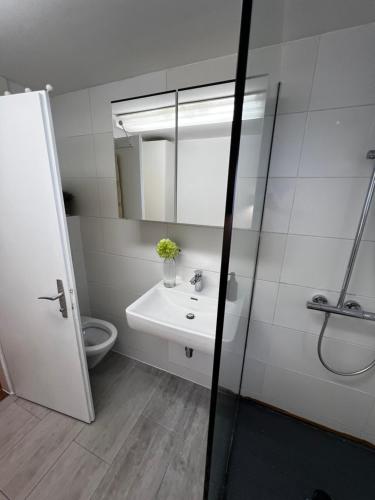ein Badezimmer mit einem Waschbecken, einem WC und einem Spiegel in der Unterkunft Tini House in Wagrain