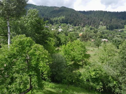 Un paisaje natural cerca de la casa de huéspedes