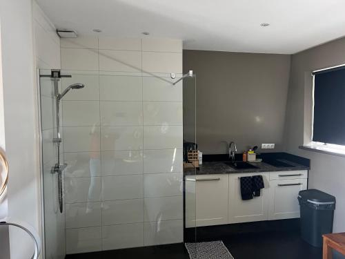 een badkamer met een douche en een glazen deur bij Studio Casa Martine in Noordwijk aan Zee