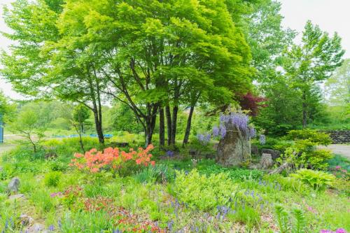 a garden with flowers and trees in a park at 交流宿　星降る家　いこい in Gujo