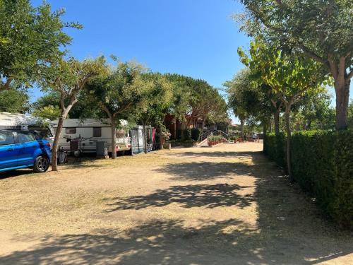 a parking lot with trees and a parked car at Camping Del Mar in Malgrat de Mar