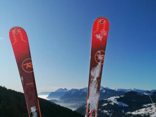 une paire de skis au sommet d'une montagne dans l'établissement Chalet spacieux 10 pers. avec jardin, cheminée, cuisine équipée à Cohennoz, proche nature - FR-1-733-29, à Cohennoz