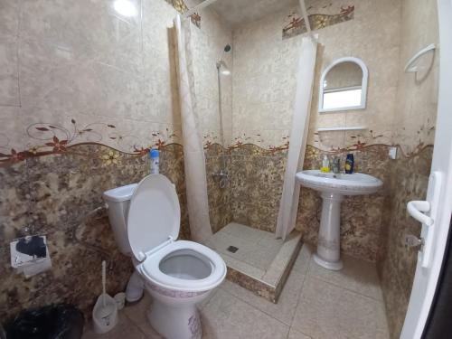 a bathroom with a toilet and a sink at Byurakan Guesthouse & Cottage in Byurakan