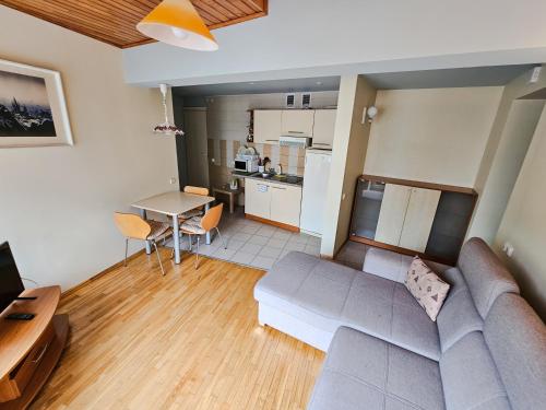 a living room with a couch and a table at Mažoji Vilija in Palanga