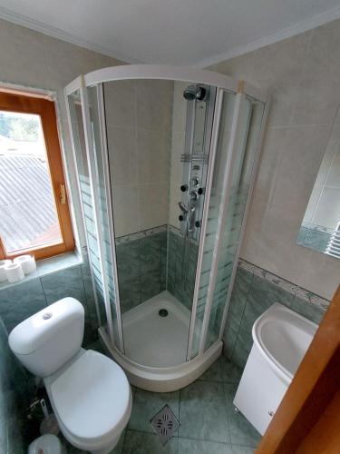 a bathroom with a shower and a toilet and a sink at Casa Sandu-Sadova in Sadova
