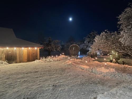 a yard covered in snow at night with the moon at Skrunda Apartments Centrum in Skrunda