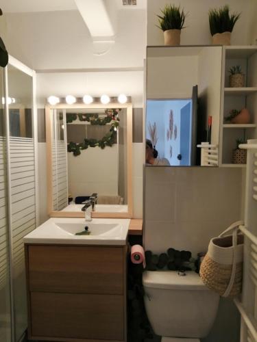 une salle de bain avec un lavabo, des toilettes et un miroir dans l'établissement JOLIE APPARTEMENT A LOUER DANS LA PINEDE A 5MN A PIED DE LA PLAGE, à Argelès-sur-Mer