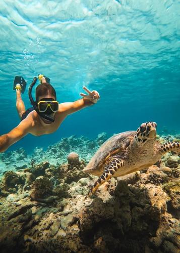 a man in a mask and a turtle in the water at Manta Reserve in Maalhos