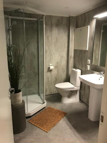 a bathroom with a shower and a toilet and a sink at Victoriagården in Grimstad
