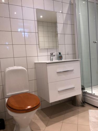 a bathroom with a toilet and a sink and a mirror at Koselig leilighet i Austbygde med Wifi in Bakko