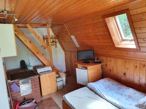ein Schlafzimmer mit einem Bett und einem TV in einer Hütte in der Unterkunft Pod Mareszką in Krempna