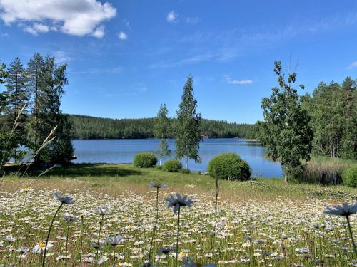 a field of flowers with a lake in the background at Lappalaisen lomamökit Pihamökki in Puumala