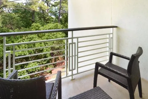 The Westin Hilton Head Island Resort & Spa photo 6
