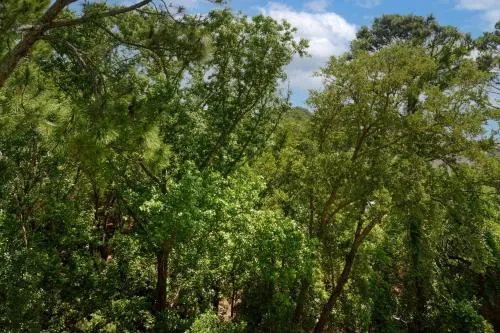 The Westin Hilton Head Island Resort & Spa photo 38