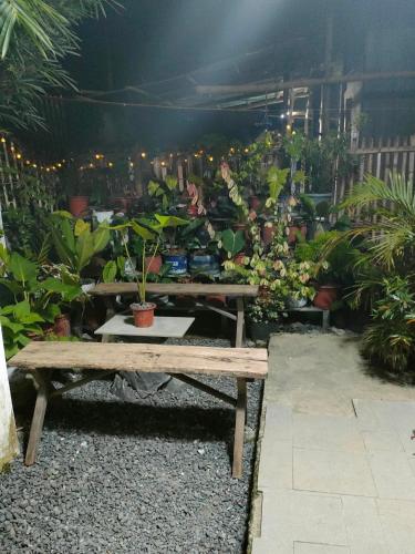 a greenhouse filled with potted plants and a wooden bench at Yannas transient house in Roxas City