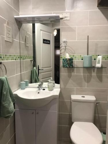 une salle de bain avec toilettes et lavabo dans l'établissement La Maison De La Tour Annex, à La Sauvetat-du-Dropt