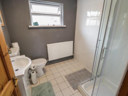 a bathroom with a shower and a toilet and a sink at 7 Aikenhead Terrace in Foxford