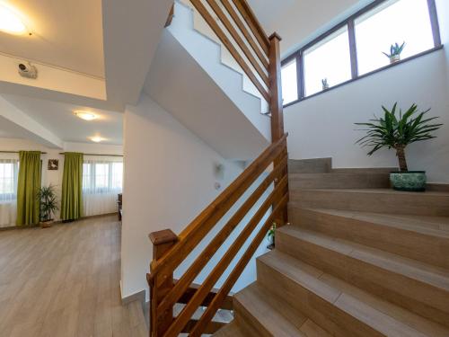 a staircase in a house with a plant at Laguna Nuferilor Habitat in Somova