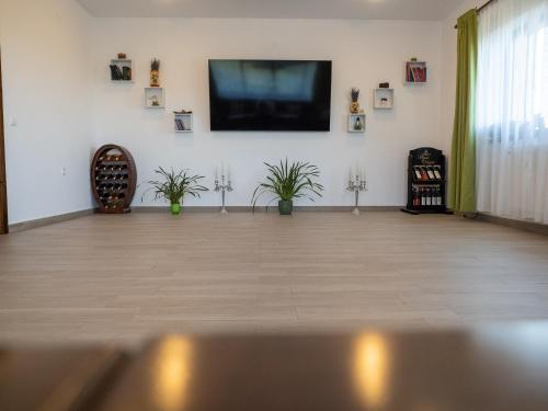 a living room with a flat screen tv on a wall at Laguna Nuferilor Habitat in Somova