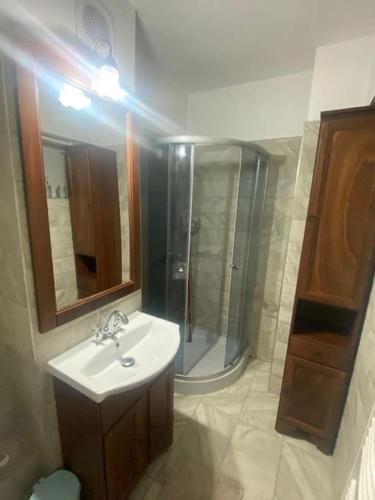 bagno con lavandino e doccia di Garsoniera centrala a Braşov