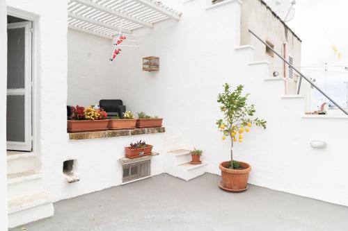 Fotografie z fotogalerie ubytování House il sogno di Mariella v destinaci Fasano