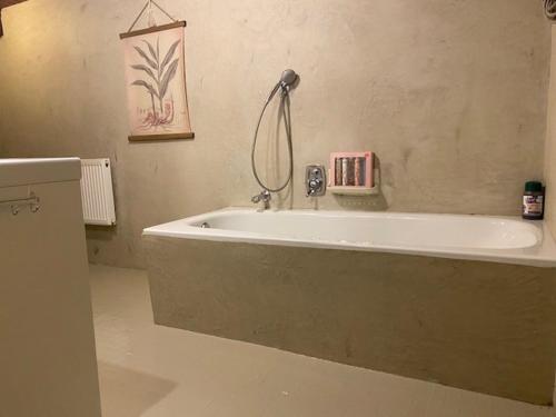 a bathroom with a bath tub in a room at Diemelquelle in Stryck