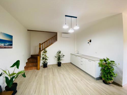 a living room with potted plants and a staircase at Guest House Tramontana 19 in Porto Ercole