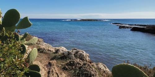 a view of the ocean from a rocky shoreline at Cuore di Ognina - Appartamenti vista mare in Ognina