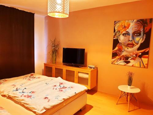Postel nebo postele na pokoji v ubytování Apartmán Terminál, self check-in 24 h, free parking