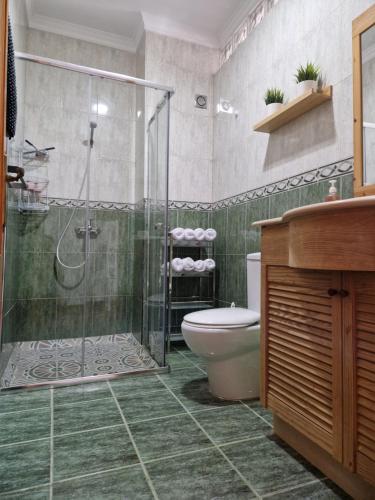 bagno con doccia in vetro e servizi igienici di Kgemelas a Telde