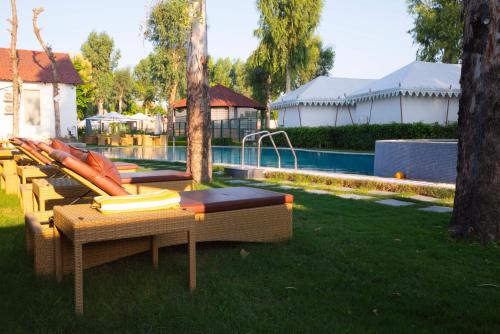 a group of chairs sitting in the grass next to a pool at Om Vilas Benares, Varanasi in Varanasi