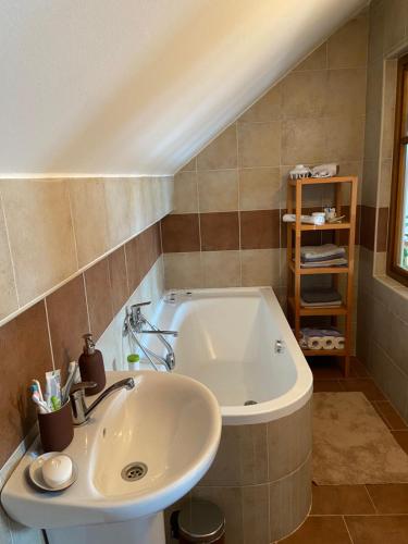 a bathroom with a sink and a bath tub at Statek na samotě in České Meziříčí