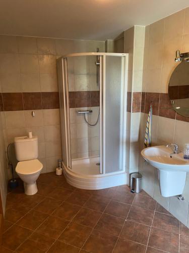 a bathroom with a shower and a toilet and a sink at Statek na samotě in České Meziříčí